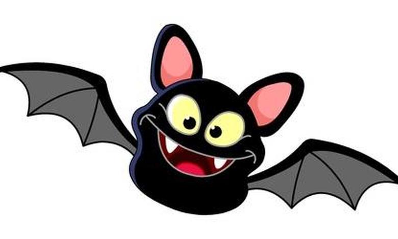 chauve souris 1.jpg