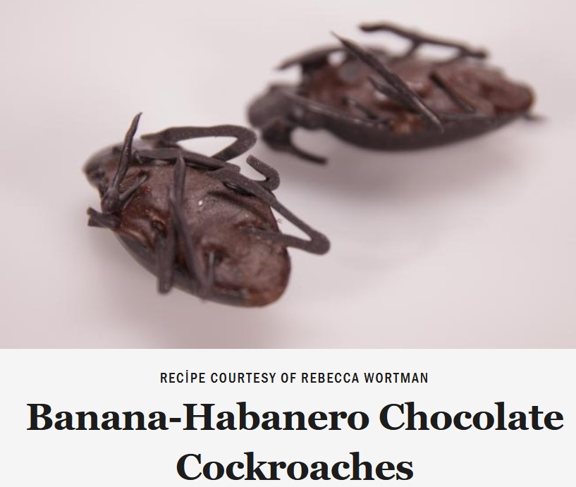 Chocalote Cockroaches.jpg