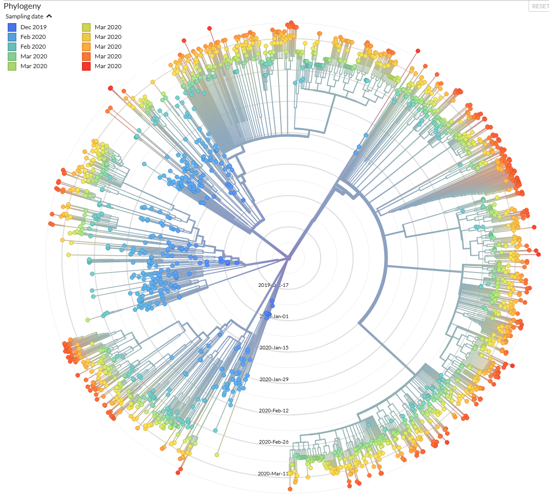 covid_Genomic_chart.png