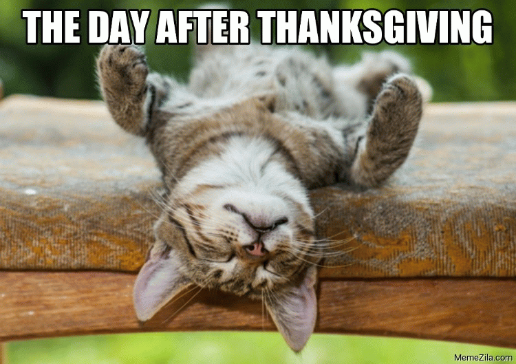 Day-after-thanksgiving-2020-cat-meme-8243.gif