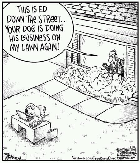 Dog Doing Business.jpg