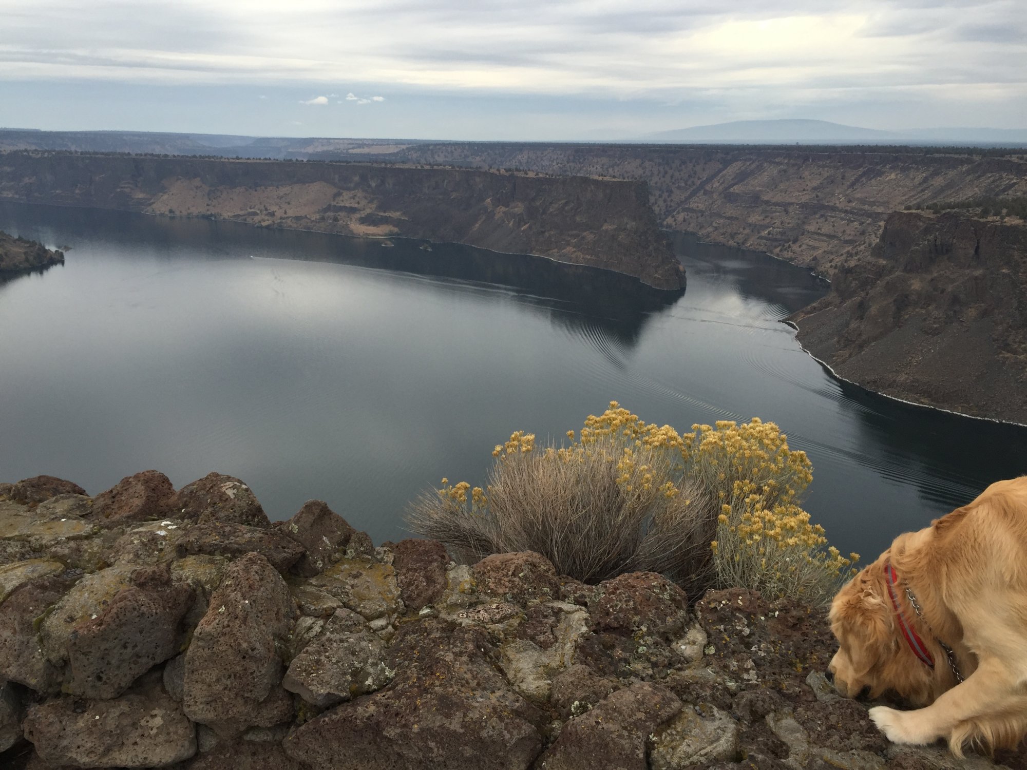 Duncan on wall overlook at Lake Billy Chinook.JPG