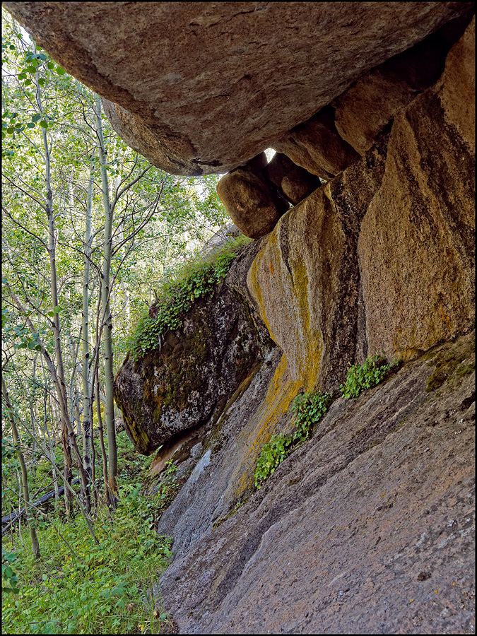 Elven Glade Grotto Summer image.jpg