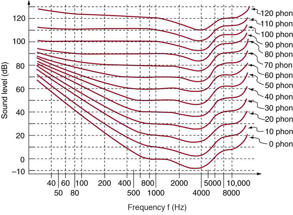 Figure_18_06_02.jpg