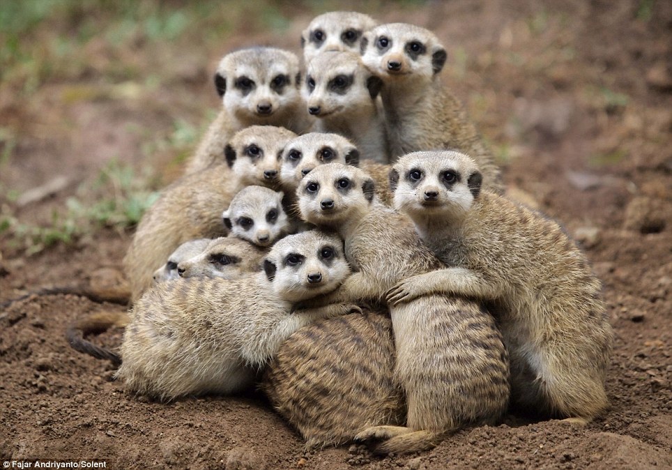 Group-Hug.jpg