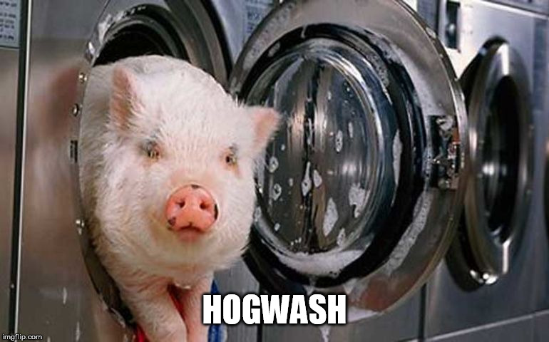 Hogwash.jpg