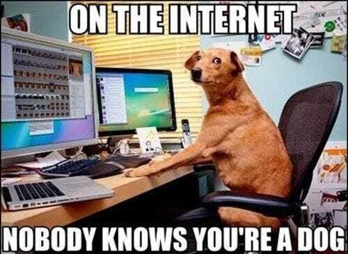 internetdog.jpg