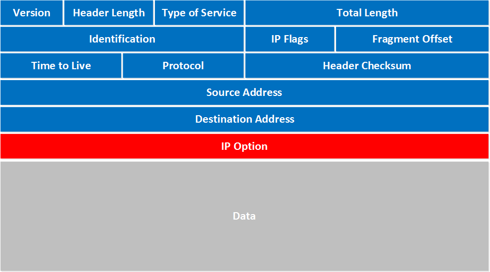 ip-packet-header-fields (1).png