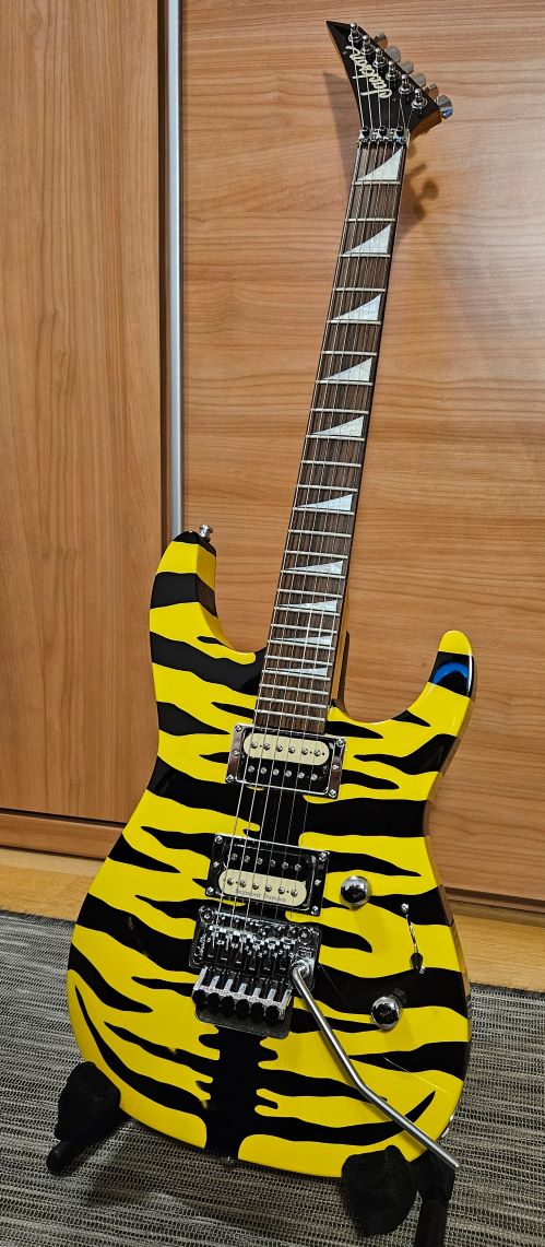 Jackson Dinky DX10D.jpg