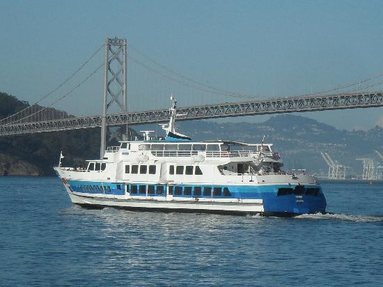 larkspur-ferry.jpg