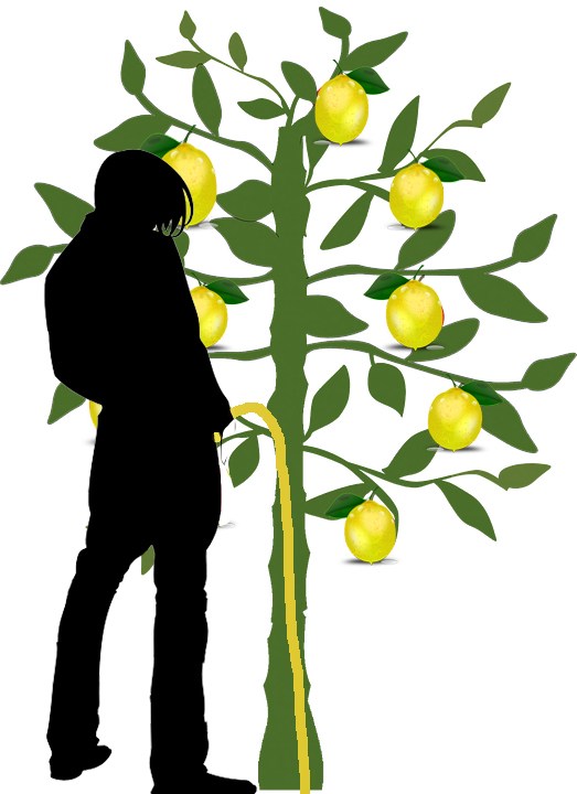 man-peeing-on-lemon-tree.jpg