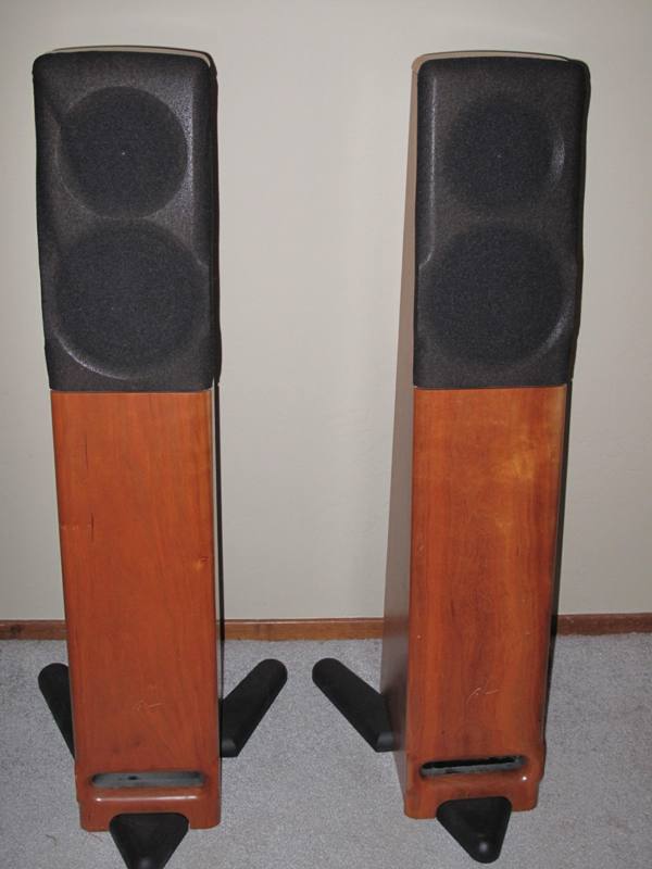 Meadowlark Swift Speakers-1.JPG