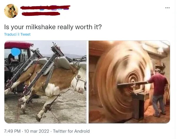 Milkshake-Maker-Spinner-of-Cows.jpg