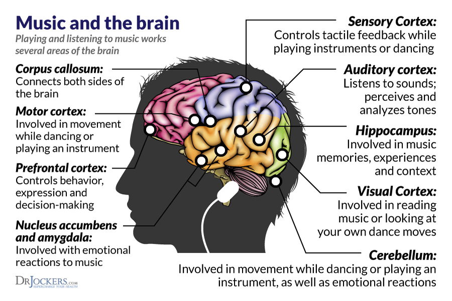 Music-brain.jpg