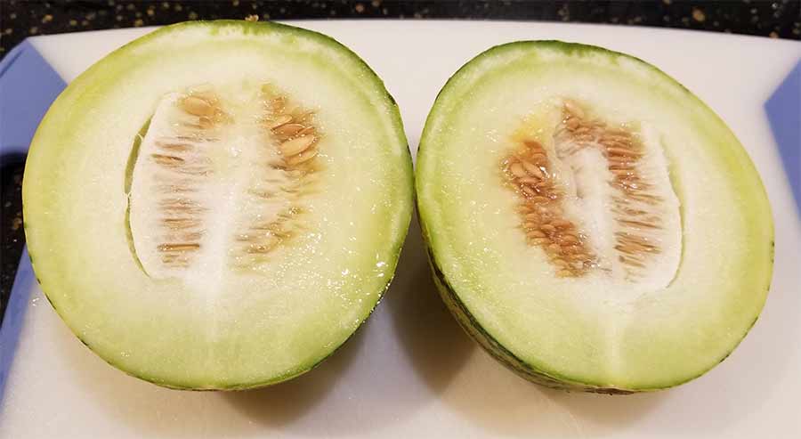 Musk Melon.jpg