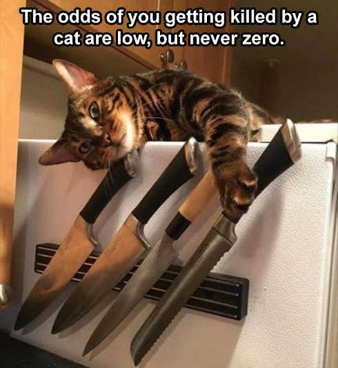 odds-of-you-killed-by-cat-low-never-zero-knives.jpg