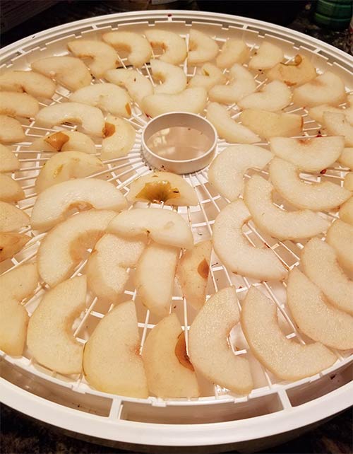 Pear Dehydrating.jpg