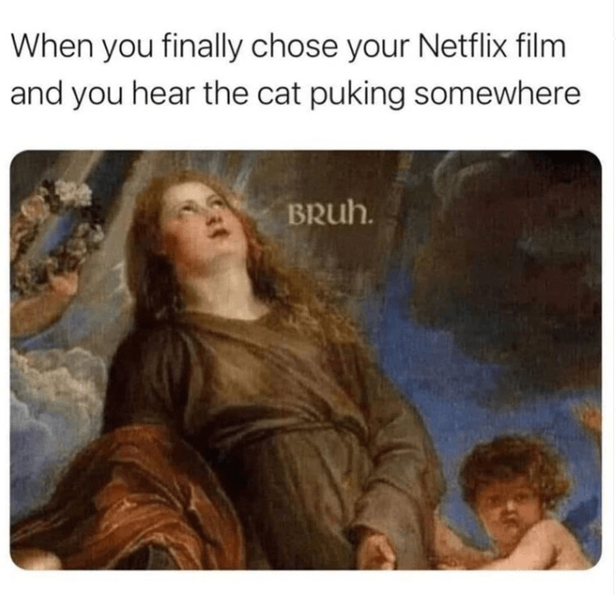 person-finally-chose-netflix-film-and-hear-cat-puking-somewhere-bruh.png