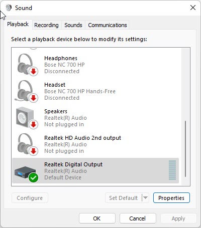 Realtek Digital Output.jpg