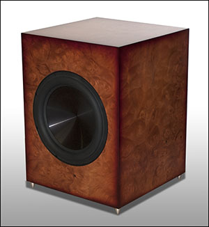 Salk-Rythmik Subwoofer.jpg