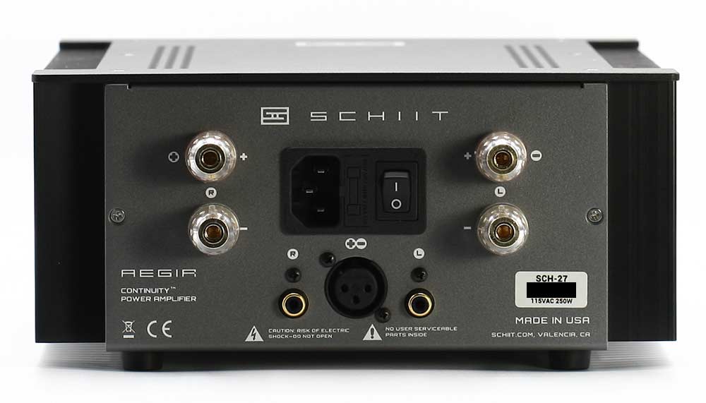 Schiit Aegir Stereo Power Amplifier Back Panel Connectors Audio Review.jpg