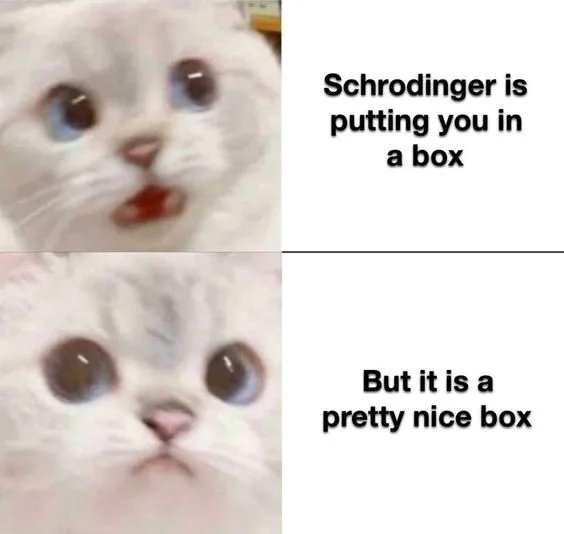 Schrdingers-cat.jpg