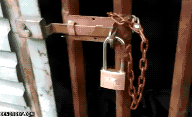 security-illustrated-4.gif