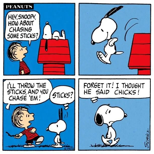 Snoopy-got-his-priorities-right.jpg