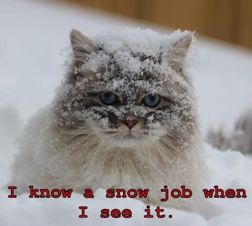 Snowjob.jpg