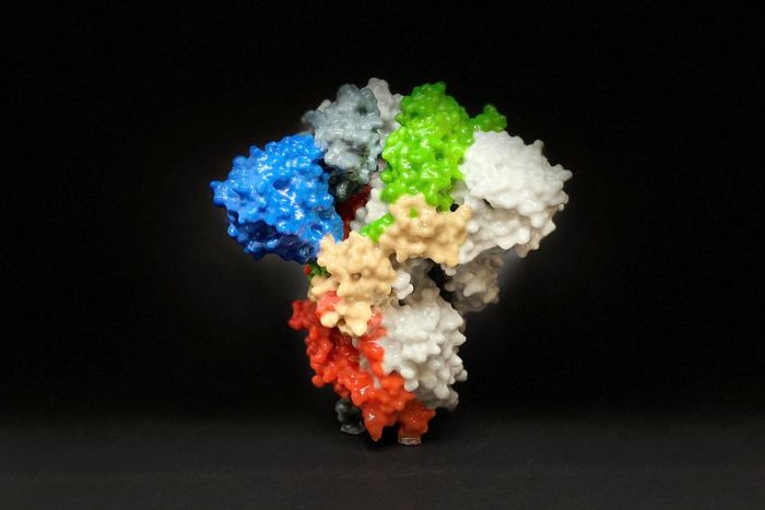 spike protein of corona virus.jpg