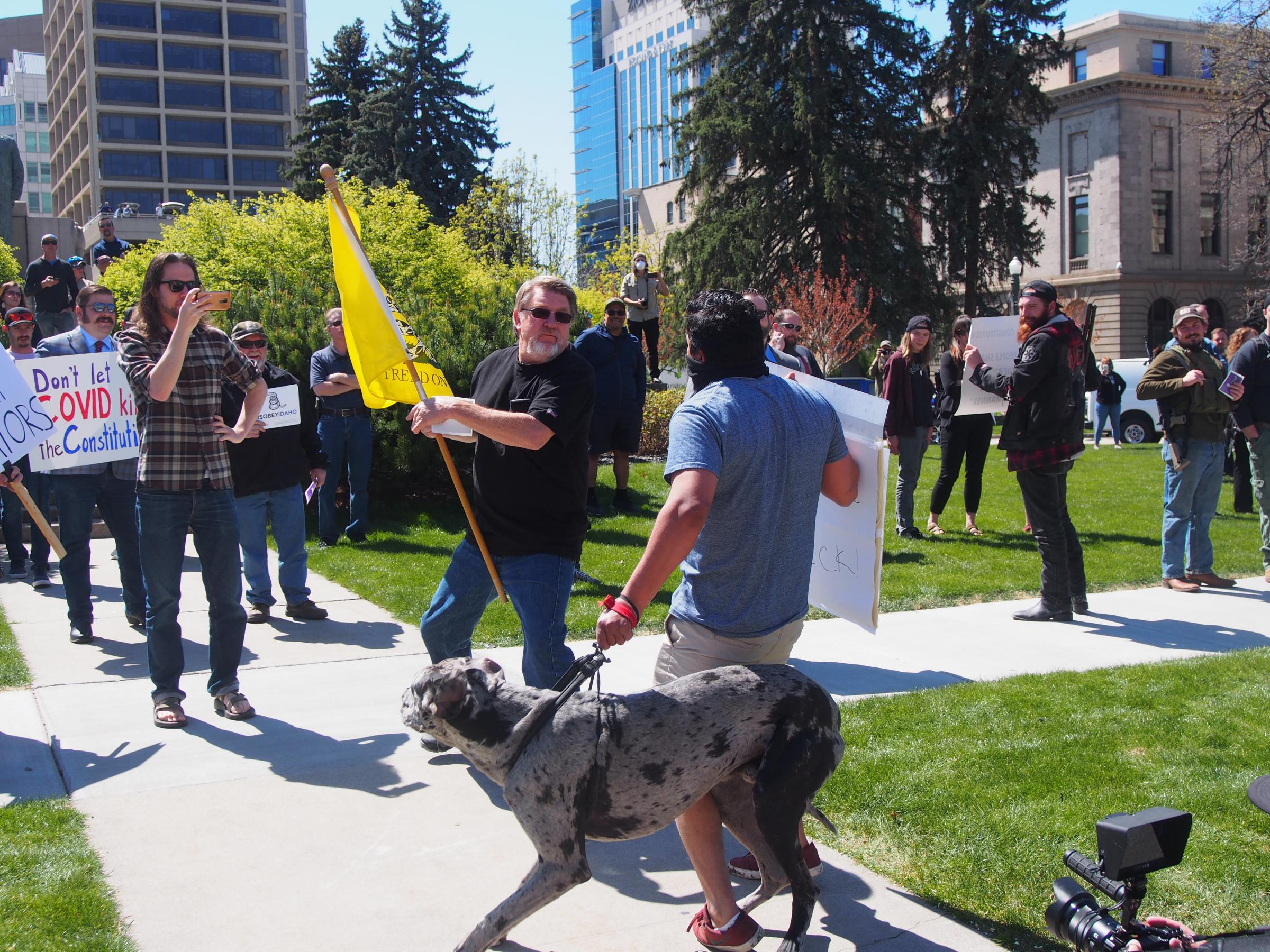 StayAtHome Protest Idaho.jpg