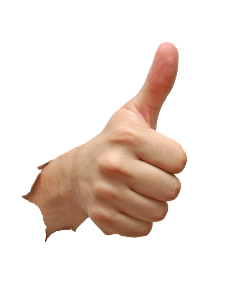 thumbs-up-transparent-png-21.png