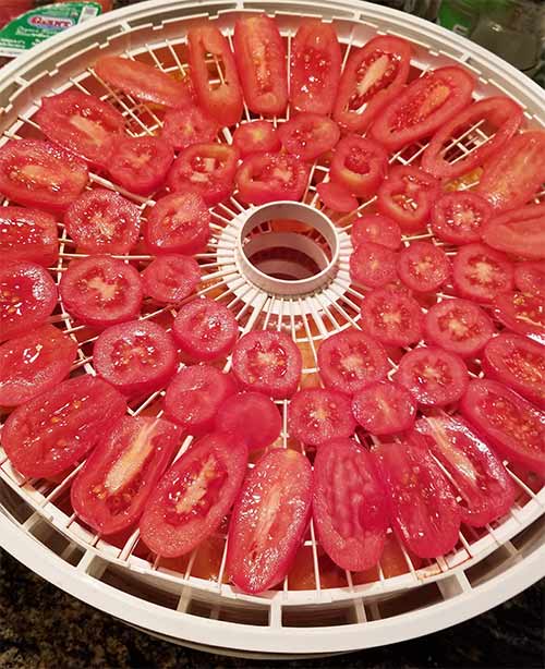Tomatoes Dehydrating.jpg