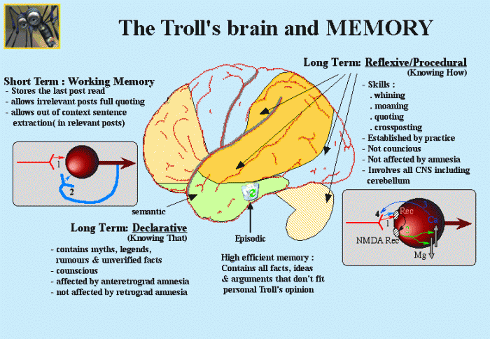 trolls brain.gif