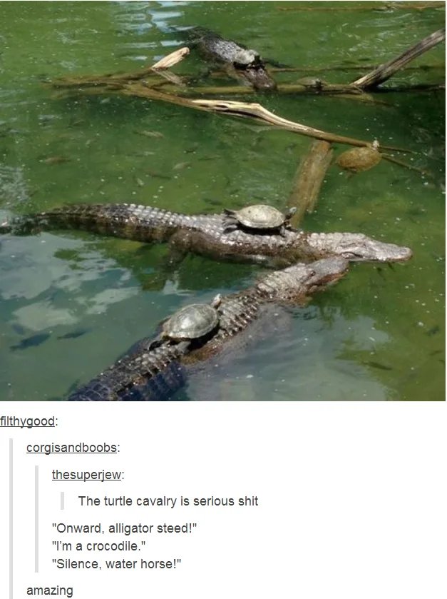 Turtle-Cavalry-riders-of-the-swamp.jpg