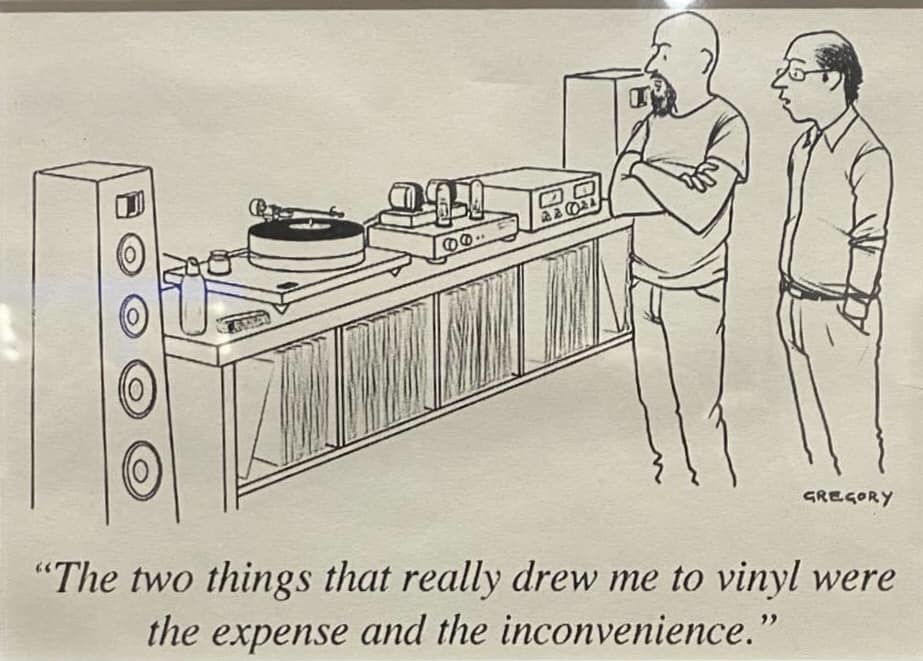 Vinyl - Expense and Inconvenience.jpg