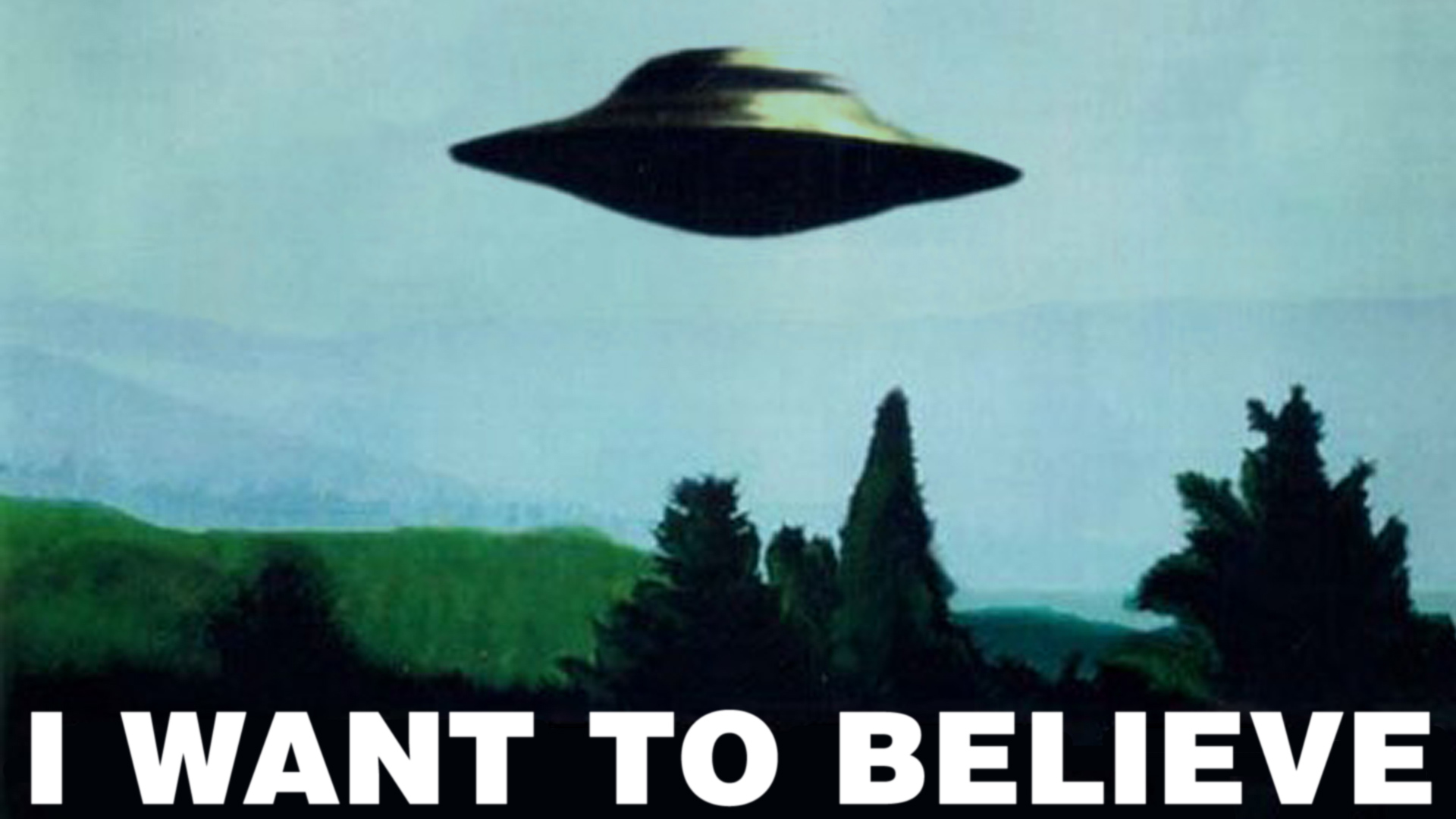 Want to Believe.jpg