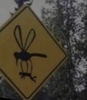 Warning-giant-mosquito.jpg