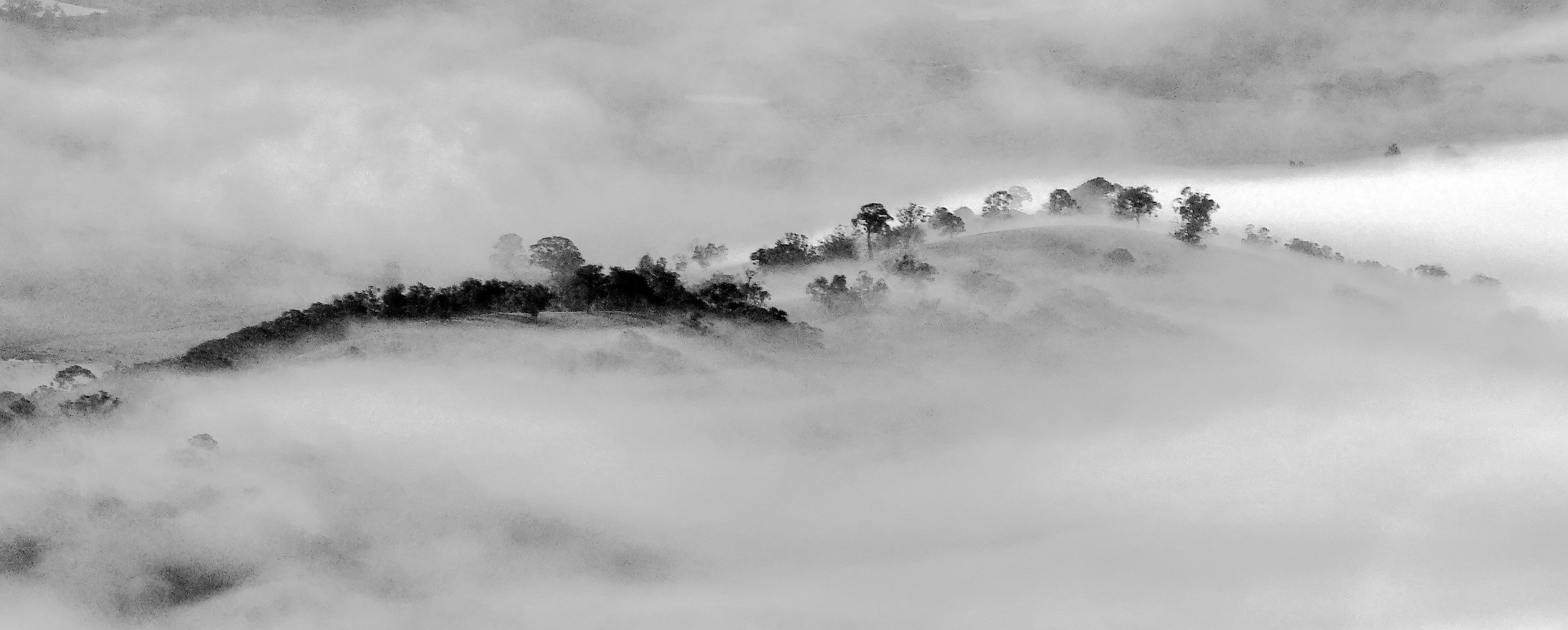 yarra-valley-balloon-fog-morning.jpg
