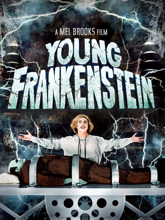 Young Frankenstein sml.jpg